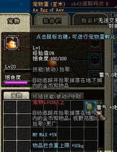 DNF宠物排行榜解析与亚米拾取物品设置详解