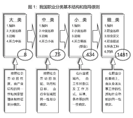 职业分类标准解析：从常见职业到绿色职业的兴起