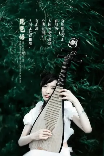 琵琶副本歌曲及歌词攻略汇总