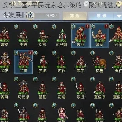 战棋三国2：攻略指南：选将培养与排行榜解析