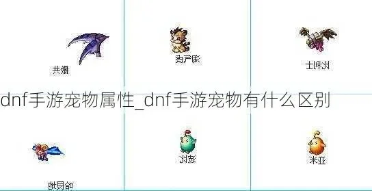 dnf手游40级宠物-DNF手游40级宠物养成指南